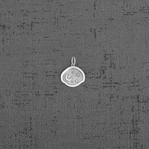 آویز نقره PN1030