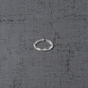 انگشتر نقره RI1017