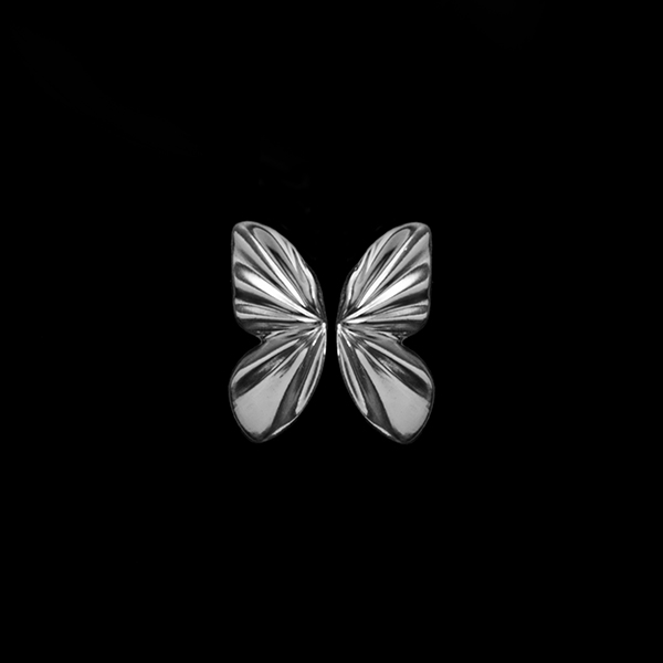 گوشواره نقره ER1004